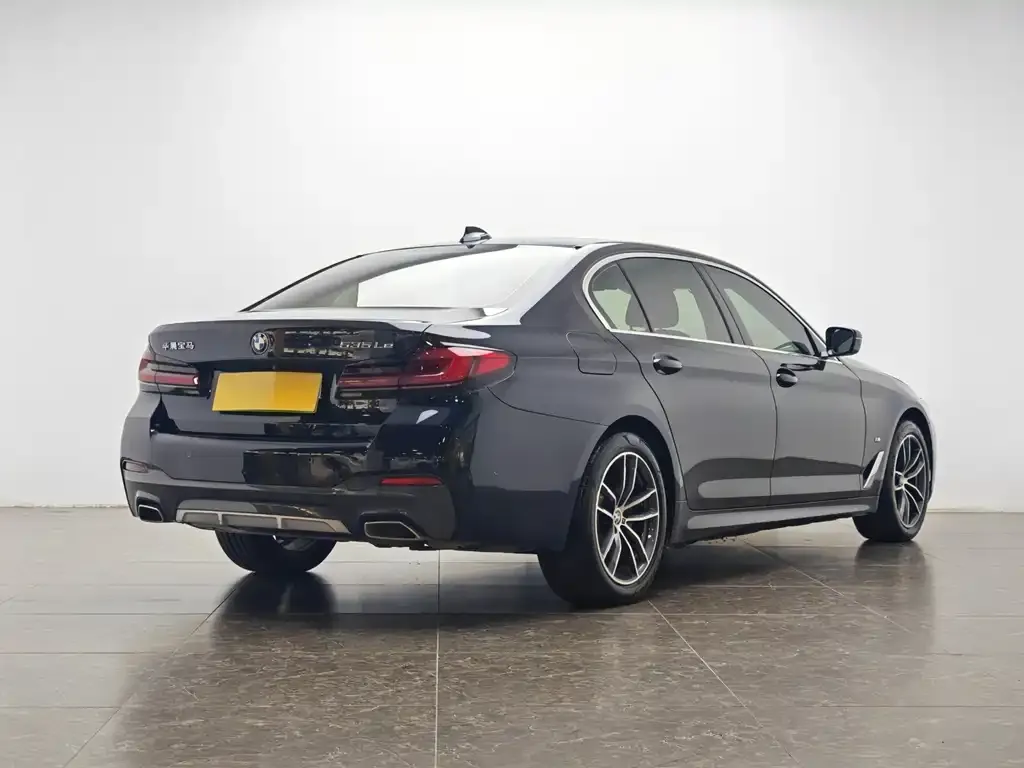 BMW 5 Series New Energy 2021 из CN, фото 8