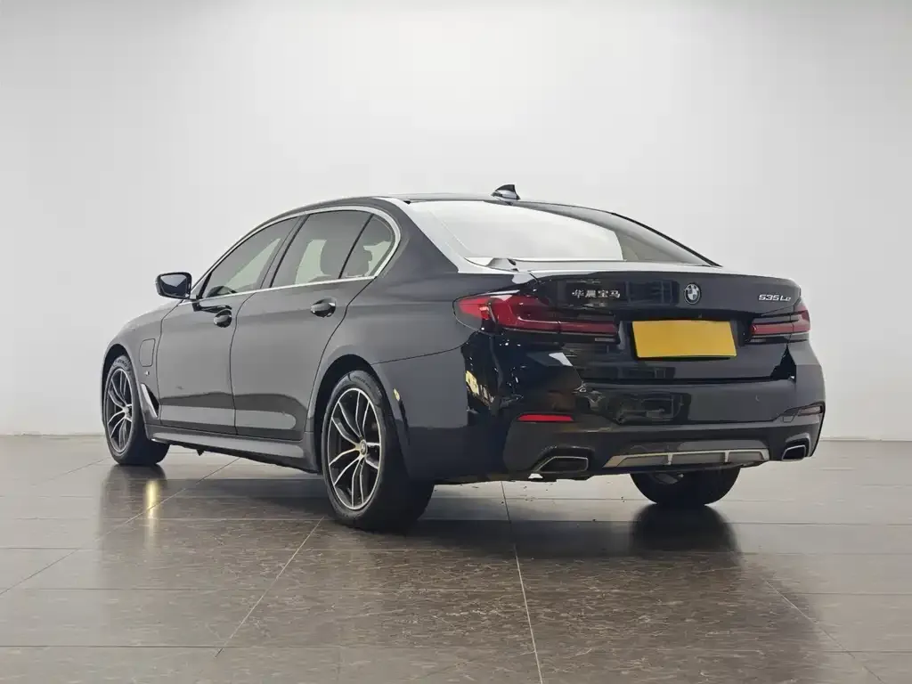 BMW 5 Series New Energy 2021 из CN, фото 7