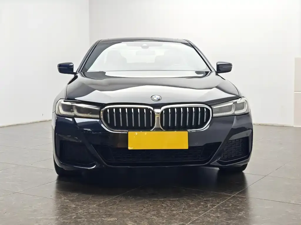 BMW 5 Series New Energy 2021 из CN, фото 4
