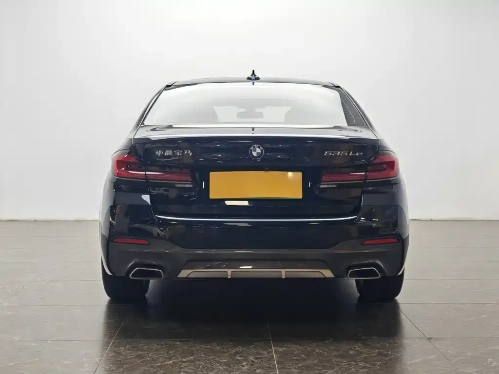 BMW 5 Series New Energy 2021 из CN, фото 9
