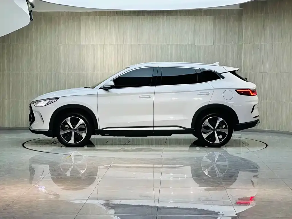 BYD PLUS New Energy 2023 из CN, фото 4