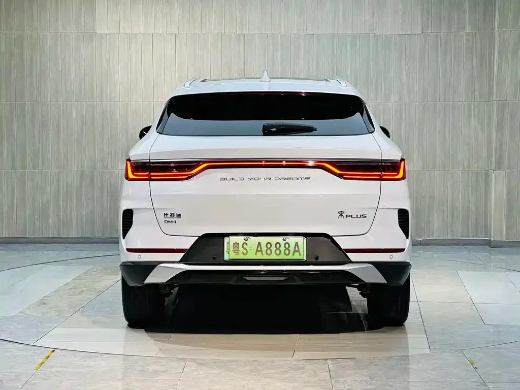 BYD PLUS New Energy 2023 из CN, фото 10