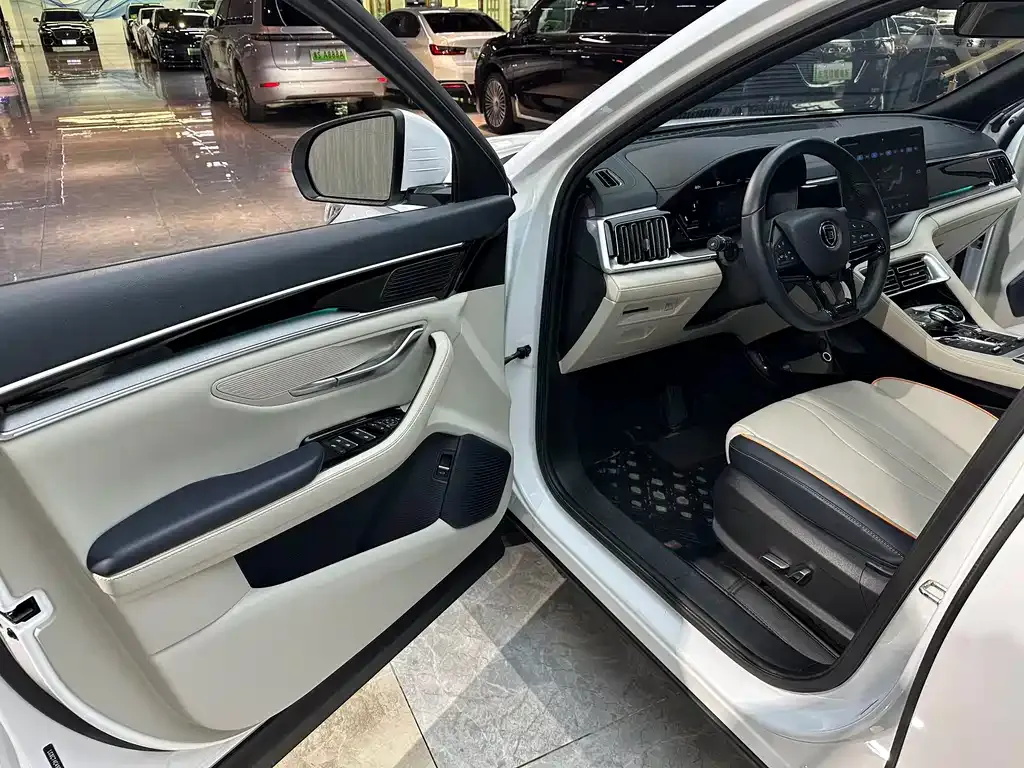 BYD PLUS New Energy 2023 из CN, фото 3
