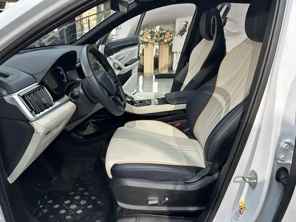 BYD PLUS New Energy 2023 из CN, фото 2