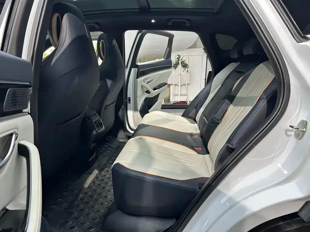 BYD PLUS New Energy 2023 из CN, фото 6