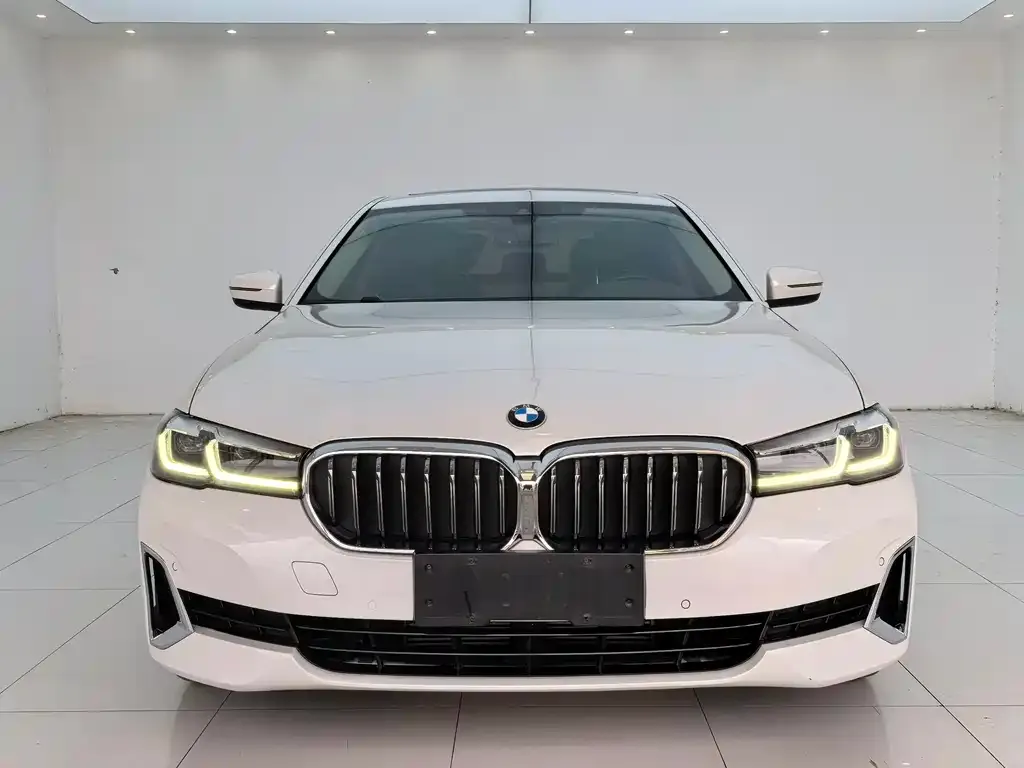 BMW 5 Series 2021 из CN, фото 7