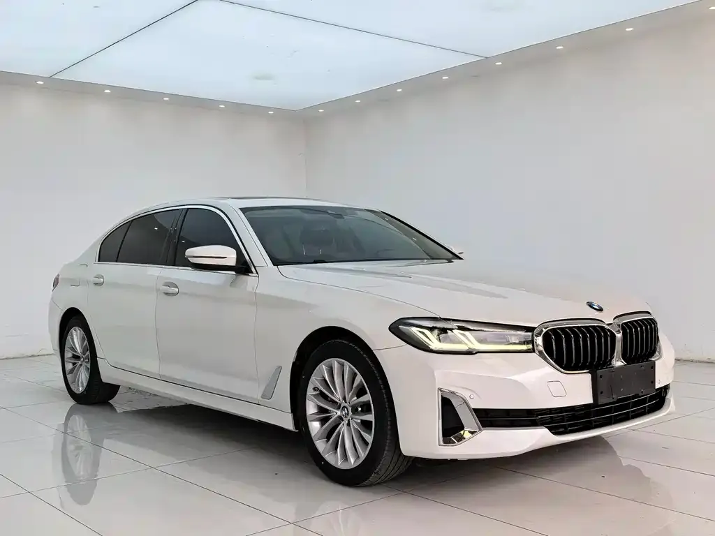 BMW 5 Series 2021 из CN, фото 3