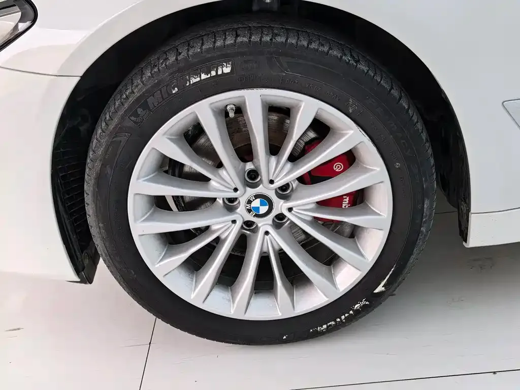 BMW 5 Series 2021 из CN, фото 5