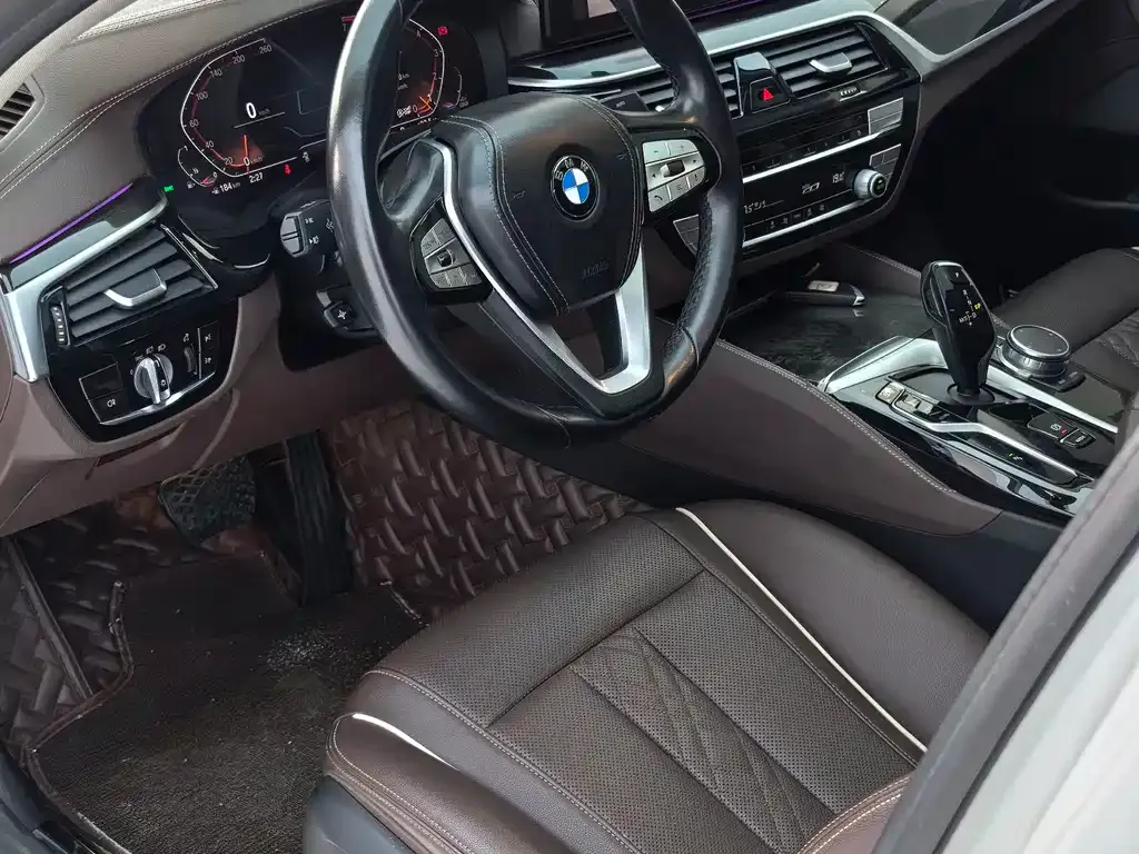 BMW 5 Series 2021 из CN, фото 10