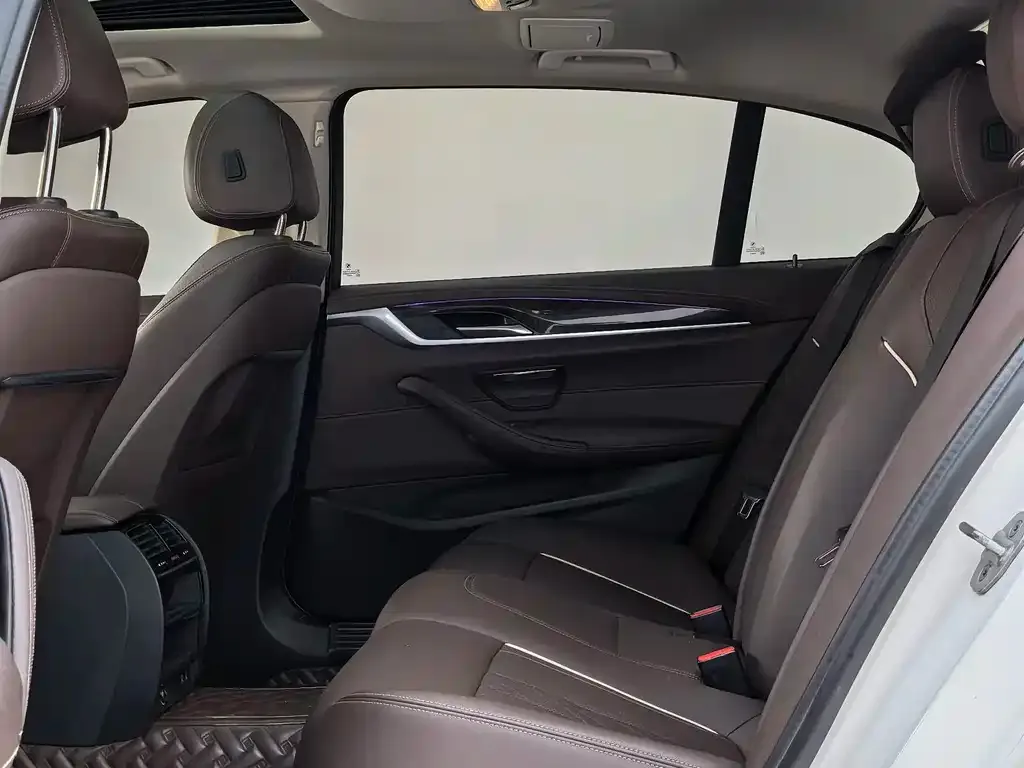 BMW 5 Series 2021 из CN, фото 4