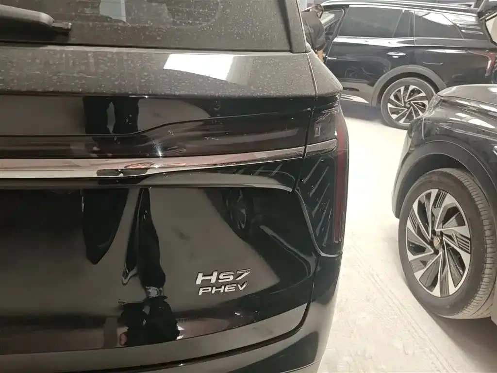 Hongqi HS7 PHEV — фото 10