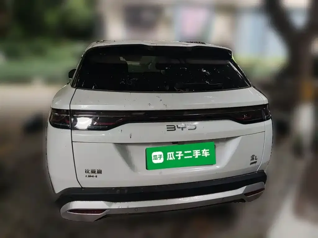 BYD L DM-i — фото 6