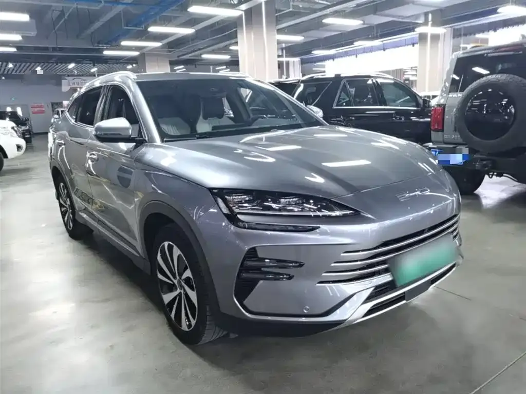 BYD PLUS New Energy — фото 6