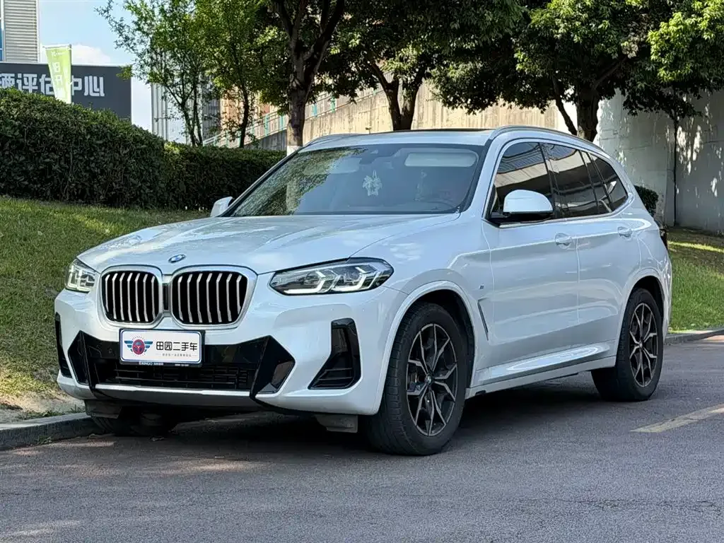 BMW X3 — фото 1