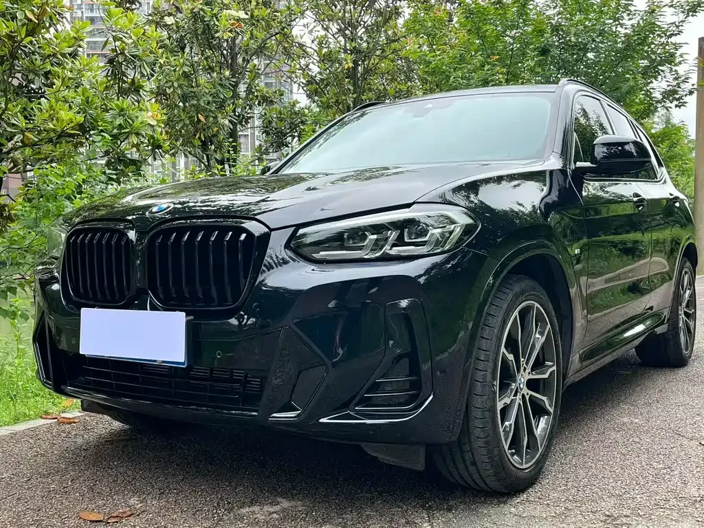 BMW X3 — фото 1