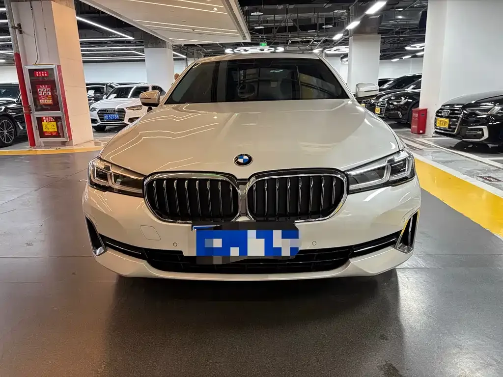 BMW 5 Series 2022 из CN, фото 8