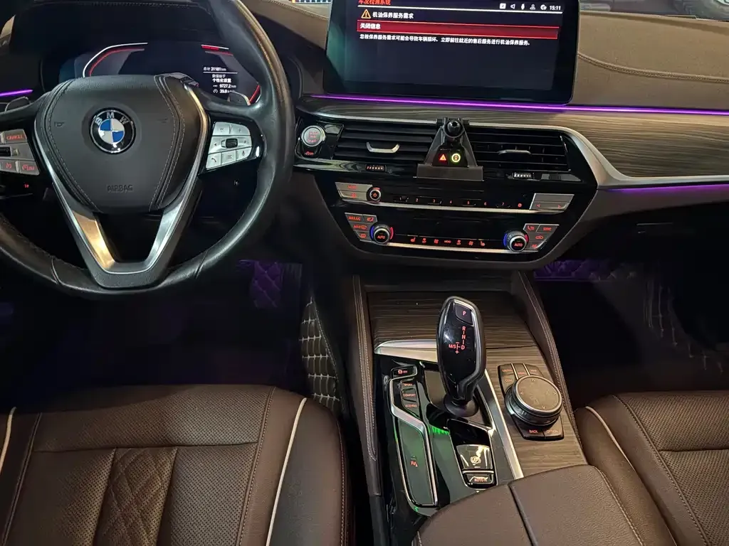 BMW 5 Series 2022 из CN, фото 2