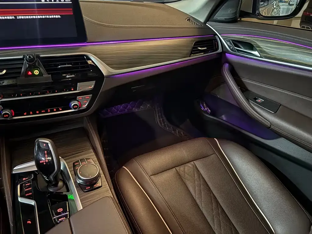 BMW 5 Series 2022 из CN, фото 4