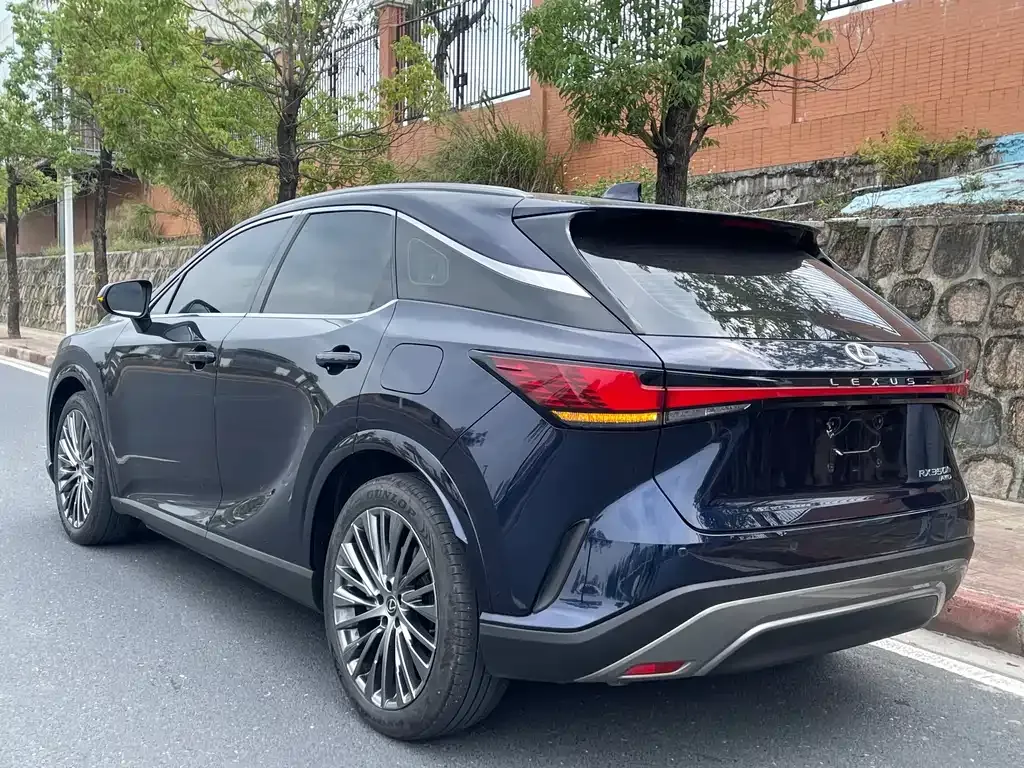 Lexus RX — фото 8