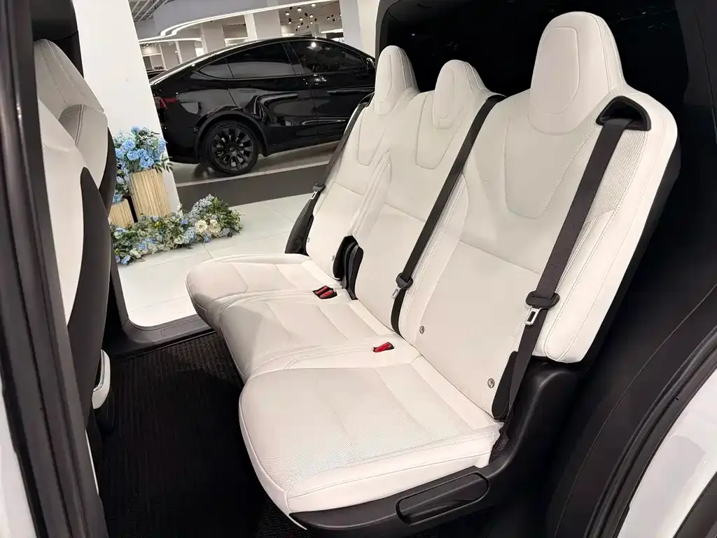 Tesla Model X 2023 из CN, фото 3