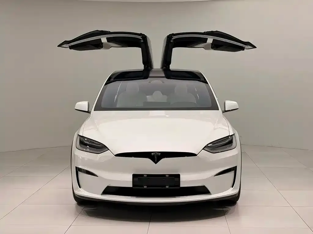 Tesla Model X 2023 из CN, фото 4