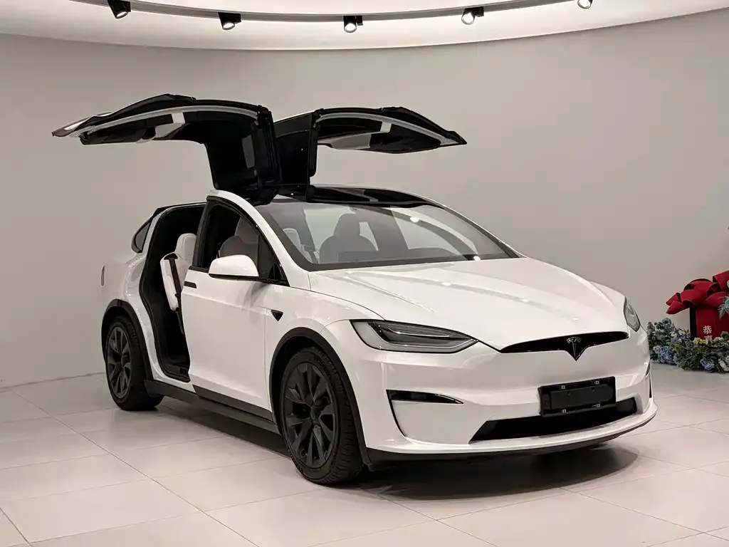 Tesla Model X 2023 из CN, фото 2