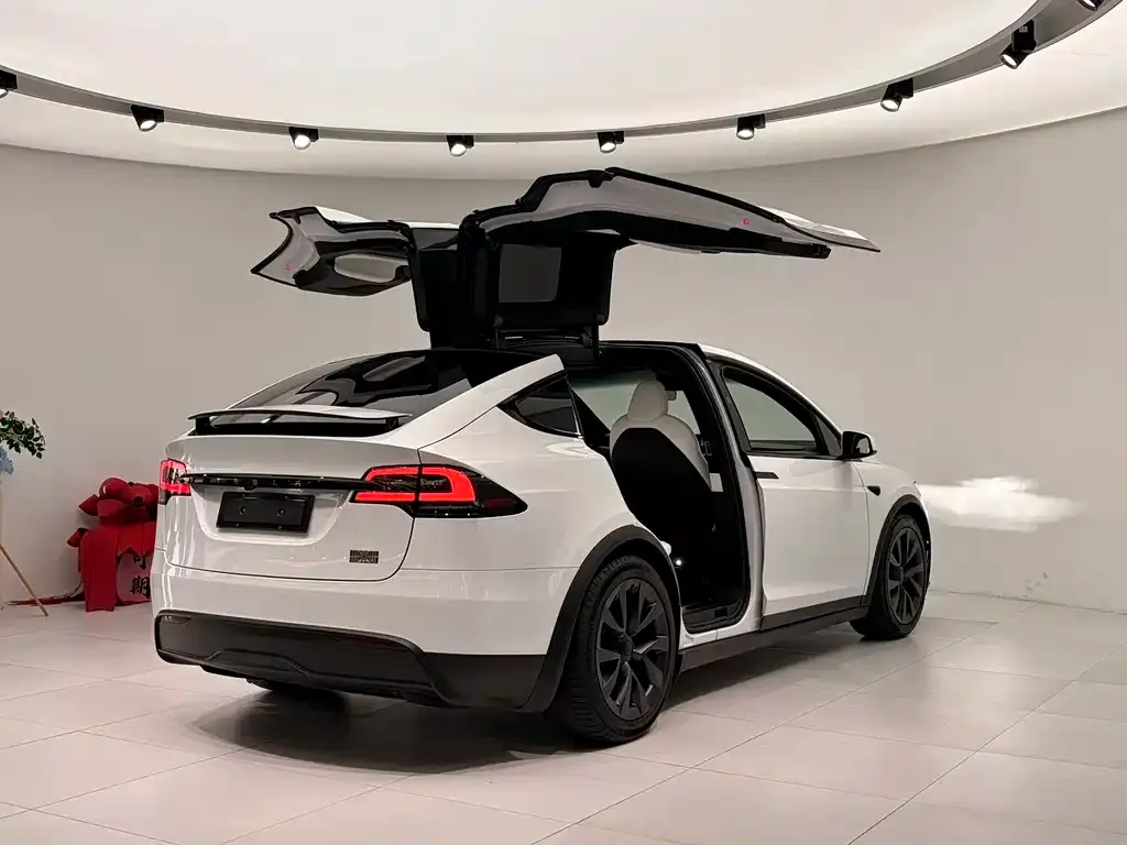 Tesla Model X 2023 из CN, фото 5