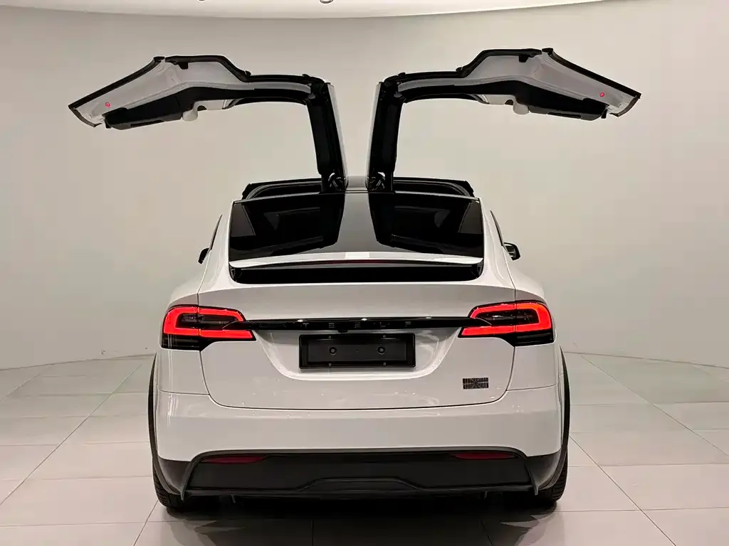 Tesla Model X 2023 из CN, фото 6