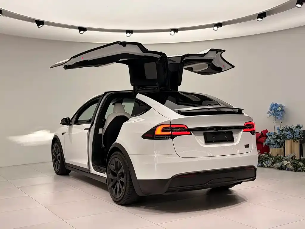 Tesla Model X 2023 из CN, фото 10