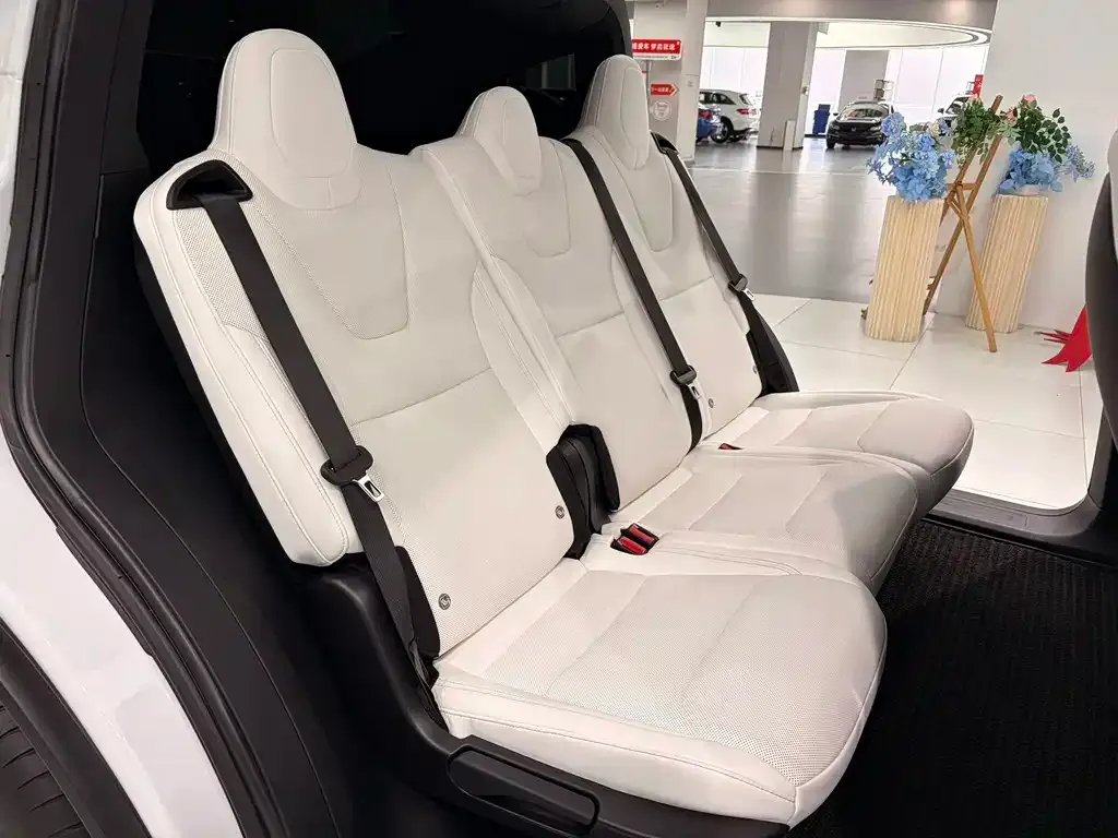 Tesla Model X 2023 из CN, фото 8