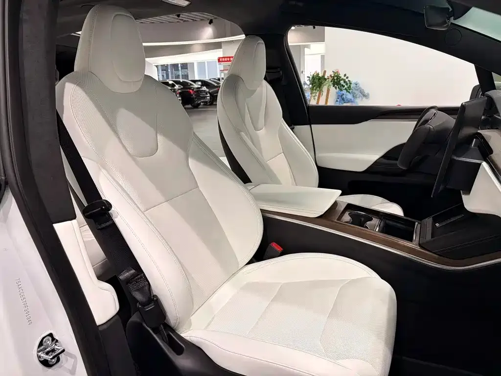 Tesla Model X 2023 из CN, фото 7