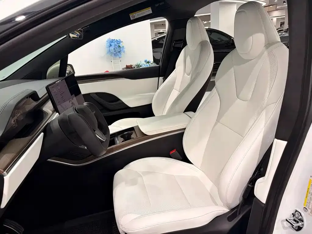 Tesla Model X 2023 из CN, фото 9