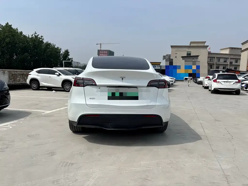 Tesla Model Y — фото 2