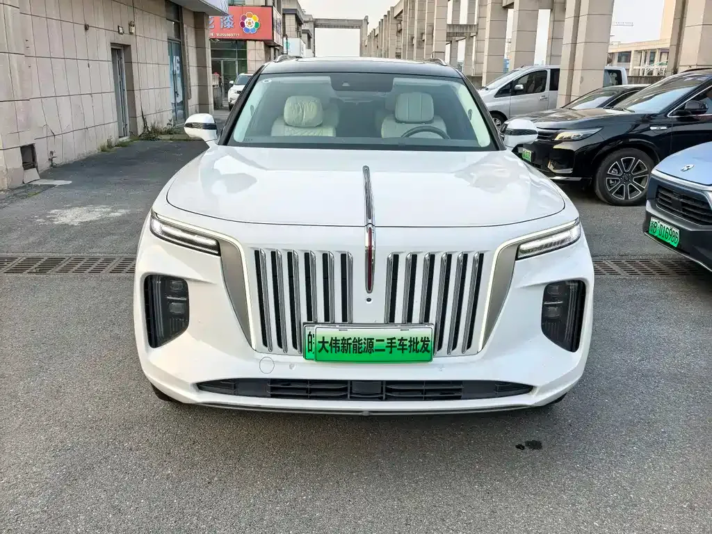 Hongqi E-HS9 2023 из CN, фото 9