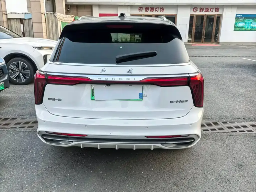 Hongqi E-HS9 2023 из CN, фото 10
