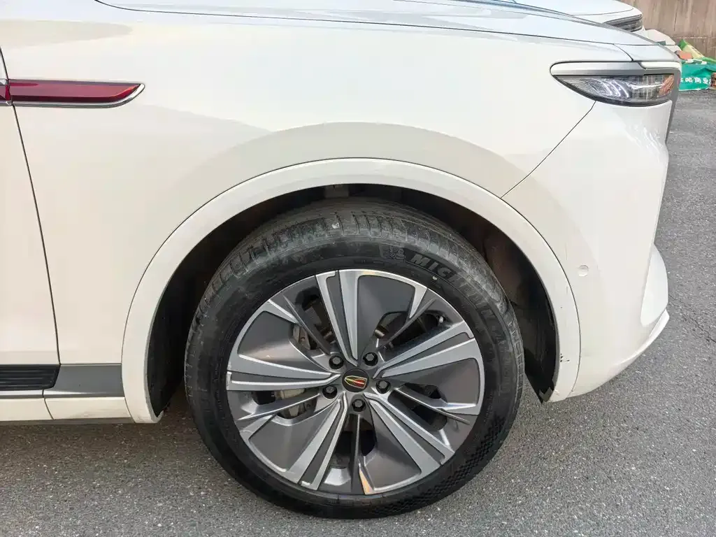 Hongqi E-HS9 2023 из CN, фото 4