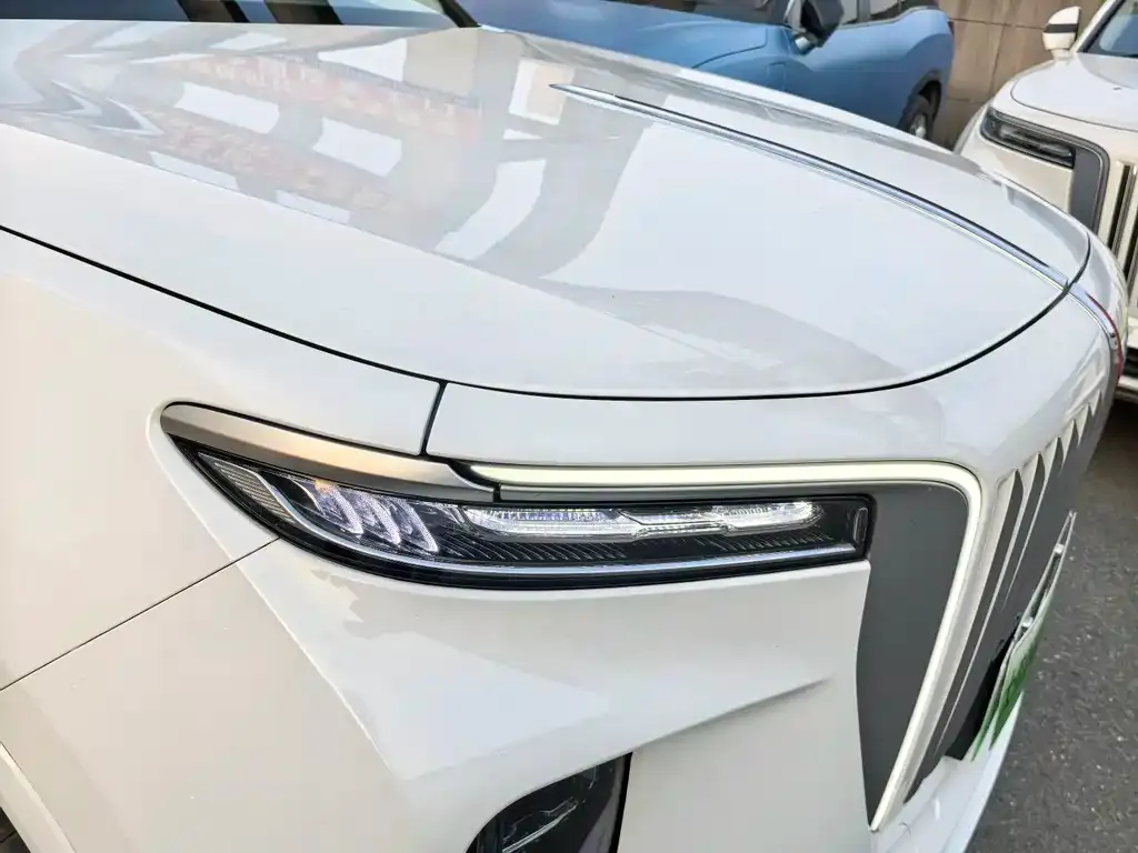 Hongqi E-HS9 2023 из CN, фото 3