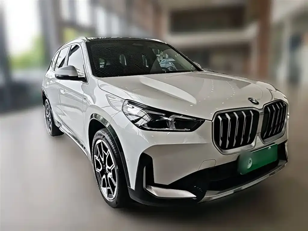 BMW X1 — фото 9