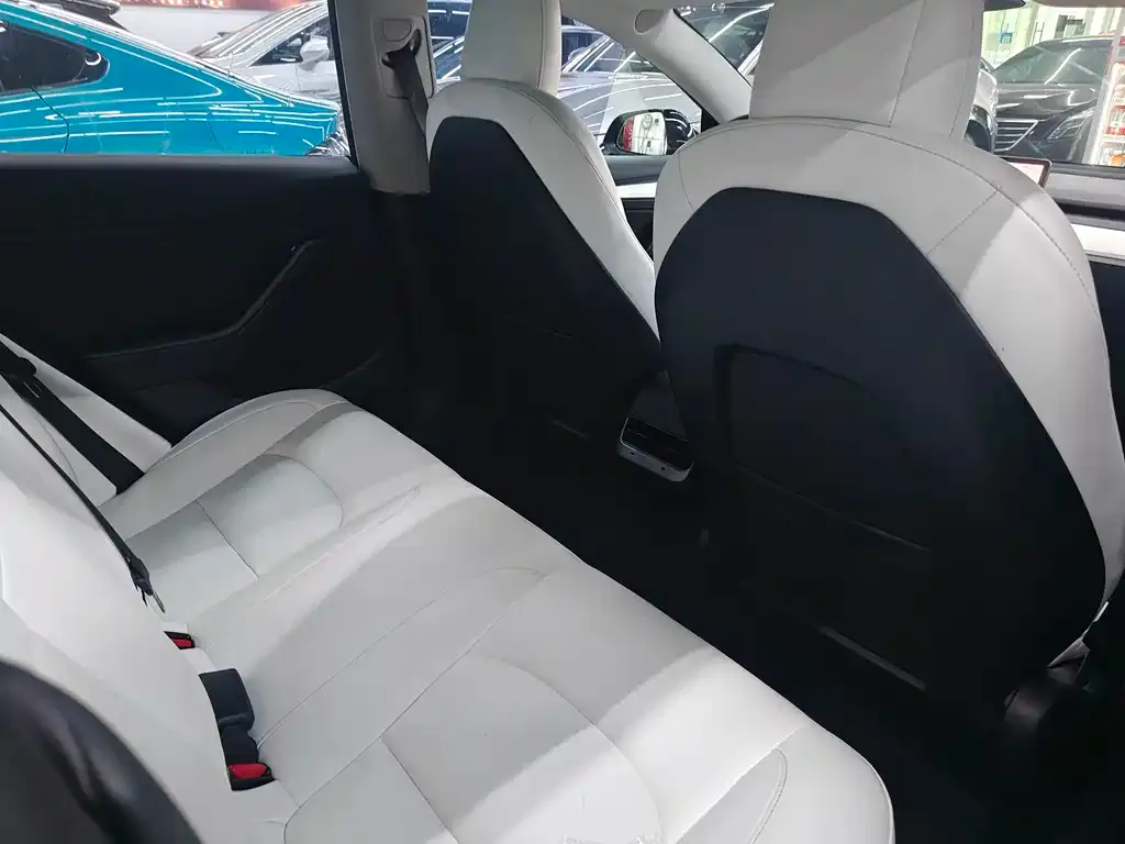 Tesla Model 3 2023 из CN, фото 4
