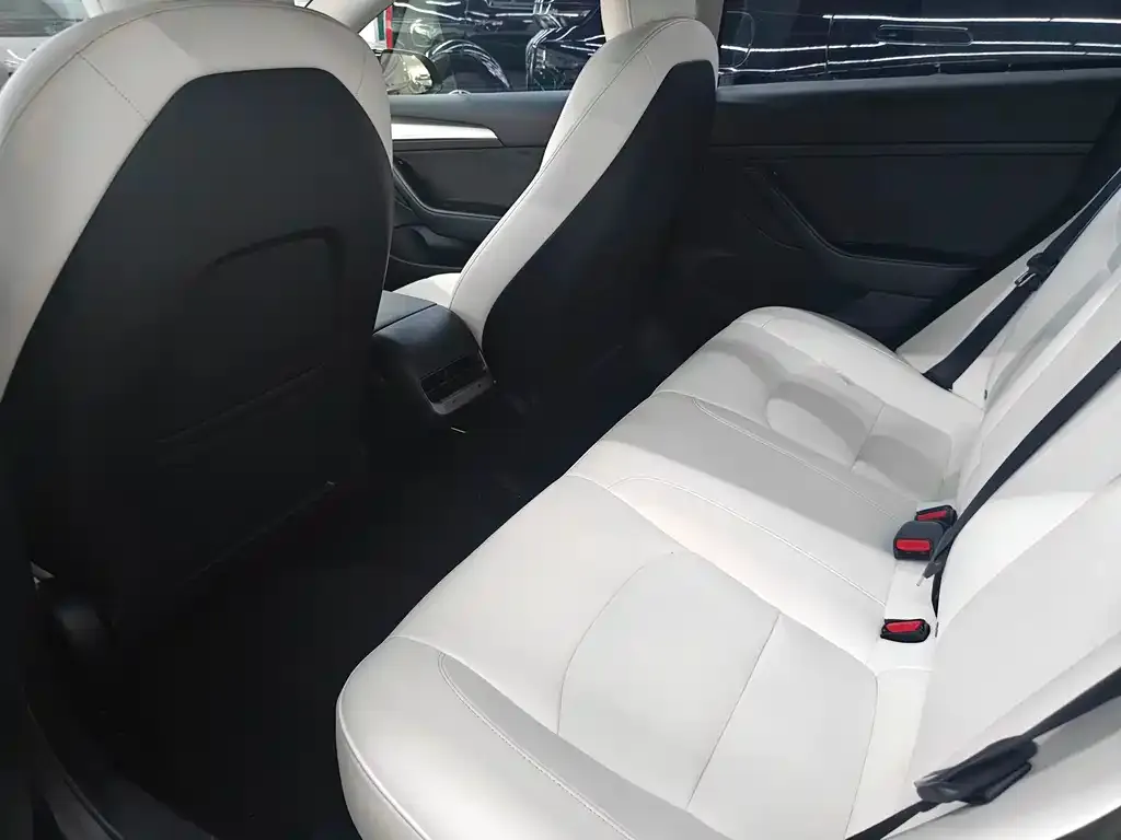 Tesla Model 3 2023 из CN, фото 2