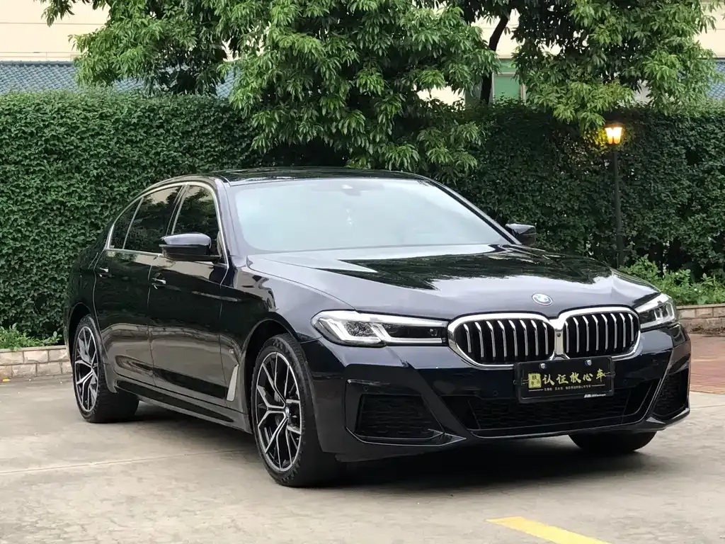 BMW 5 Series — фото 5