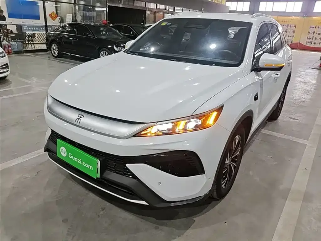 BYD Pro New Energy