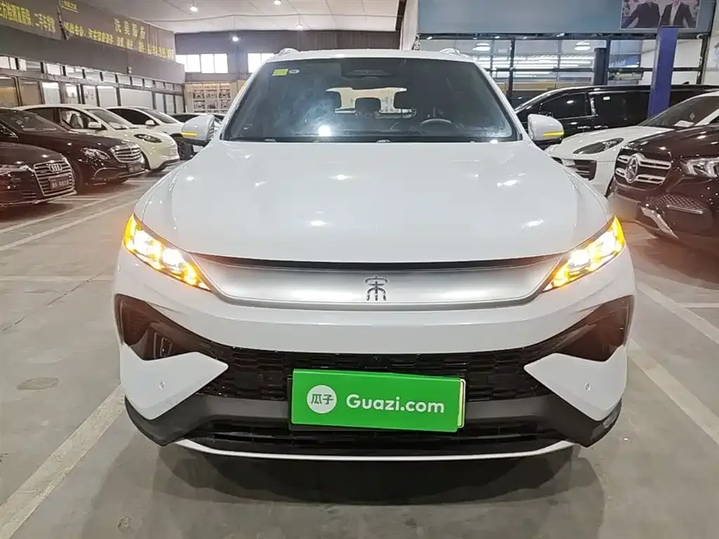 BYD Pro New Energy 2025 из CN, фото 3