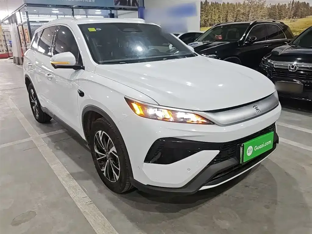 BYD Pro New Energy 2025 из CN, фото 10