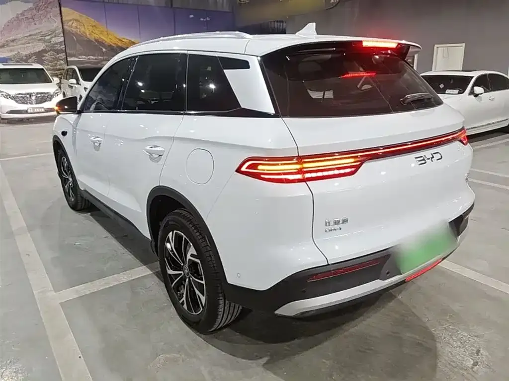 BYD Pro New Energy 2025 из CN, фото 6