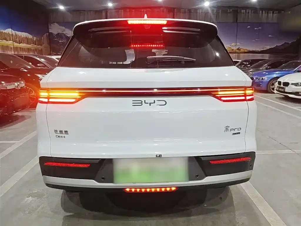 BYD Pro New Energy 2025 из CN, фото 2