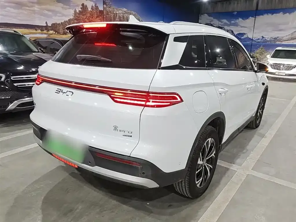 BYD Pro New Energy 2025 из CN, фото 8