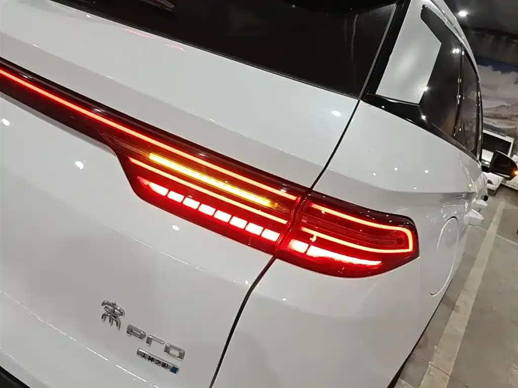 BYD Pro New Energy 2025 из CN, фото 4