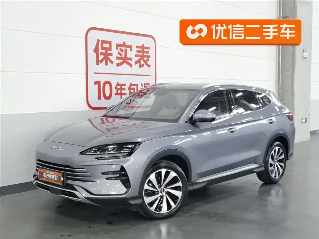 BYD PLUS New Energy — фото 1
