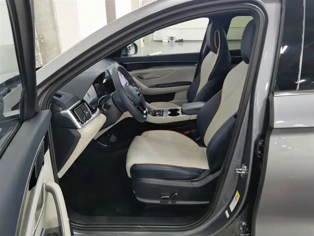 BYD PLUS New Energy — фото 4